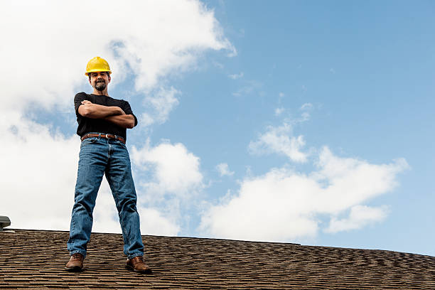 Best Roof Leak Repair  in Lake Andes, SD